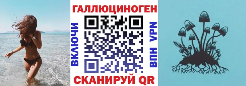 где найти   Хотьково  Галлюциногенные грибы Psilocybe 